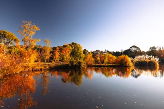 DAYLESFORD, AUSTRALIA - MAY 12 2024: Landscape around Lake Daylesford in a cool late autumn afternoon in Daylesford, Victoria, Australia