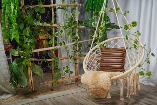 Modern cozy beautiful room with a braided rope macrame chair, green plant Diffenbachia and curtains. Interior and background. Location for photo shooting