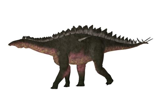 Miragaia was a armored stegosaurid sauropod dinosaur that lived in Portugal during the Jurassic Period.