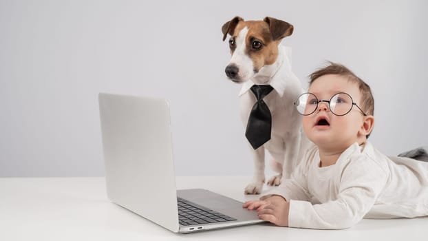 Cute baby boy and Jack Russell terrier dog working on a laptop