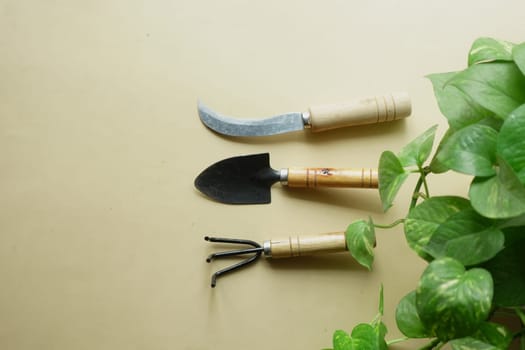 A hand tool, paint brush, and twig are displayed on a table next to the herb plant, ready for gardening tasks