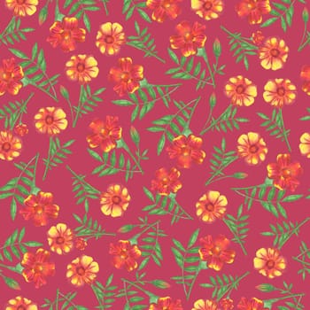 Marigold Flower Seamless Pattern. Hand Drawn Floral Digital Paper on Red Background.