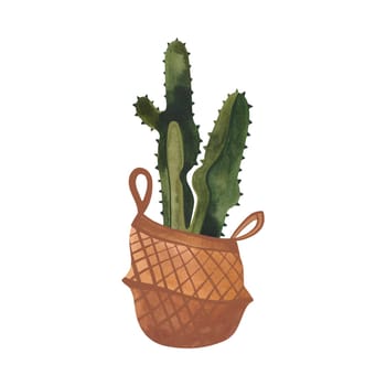 Cactus in a wicker basket. Plants for the home. Floriculture. Interior decoration. Isolated watercolor illustration on white background. Clipart