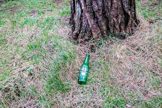 MURVAGH, COUNTY DONEGAL, IRELAND - JANUARY 21 2022 : Beer bottle lying in forest.