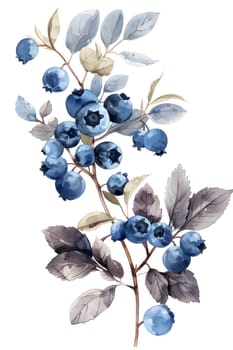 A watercolor painting of blueberries and leaves on a white background, showcasing the beauty of the plants twigs and petals in electric blue hues