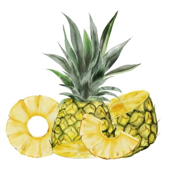 Pineapple watercolor exotic composition . Tropical fruit on isolated white background. Food illustration for menu design, tags and cosmetics packaging. High quality illustration