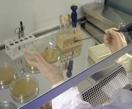 A scientist in a white lab coat and purple gloves works meticulously in a biosafety cabinet, using a digital pipette to transfer a clear test fluid with precision and care.