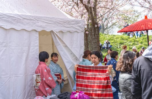 Japanese women in traditional Japanese clothing - kimono in the park at the sakura festival in Copenhagen, Denmark - April 21, 2024