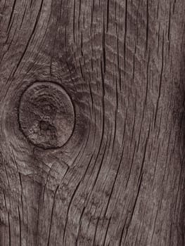 texture of natural wooden Board close-up
