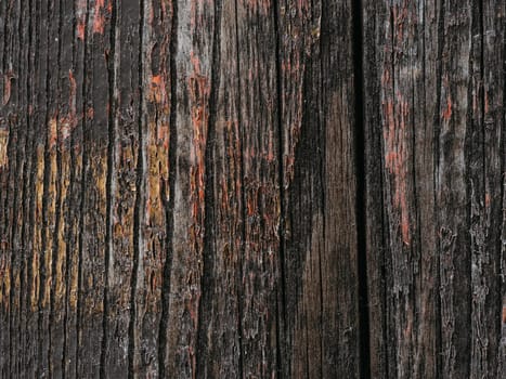 texture of natural wooden Board close-up