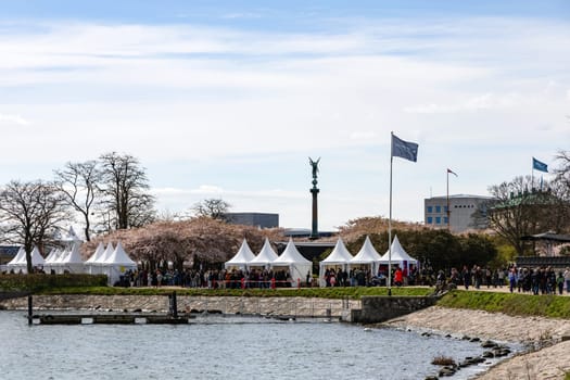 Cherry Blossom in Langelinie park. Crowd of people in the park at the sakura festival in Copenhagen, Denmark - April 21, 2024.