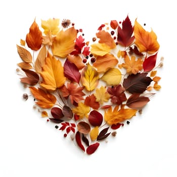 Heart of autumn colored leaves, white isolated background. Heart as a symbol of affection and love. The time of falling in love and love.