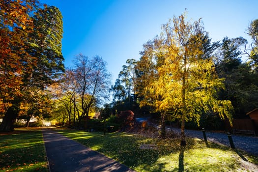 HEPBURN, AUSTRALIA - MAY 12 2024: Landscape around Hepburn Springs Reserve on a cool late autumn morning in Hepburn, Victoria, Australia