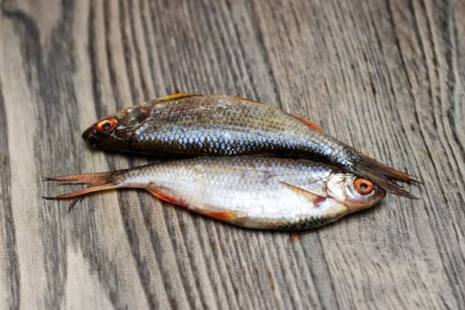 Two bony fish are displayed on a wooden table. The small fish are commonly used for seafood or bait and belong to the rayfinned fish category