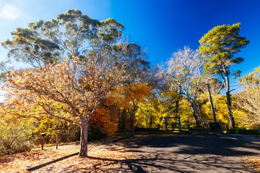 HEPBURN, AUSTRALIA - MAY 12 2024: Soldiers Memorial in Hepburn Springs Reserve on a cool late autumn morning in Hepburn, Victoria, Australia