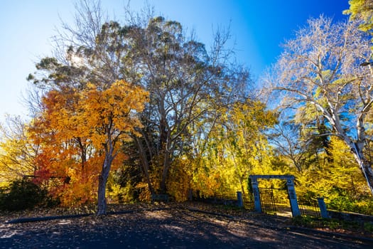 HEPBURN, AUSTRALIA - MAY 12 2024: Soldiers Memorial in Hepburn Springs Reserve on a cool late autumn morning in Hepburn, Victoria, Australia