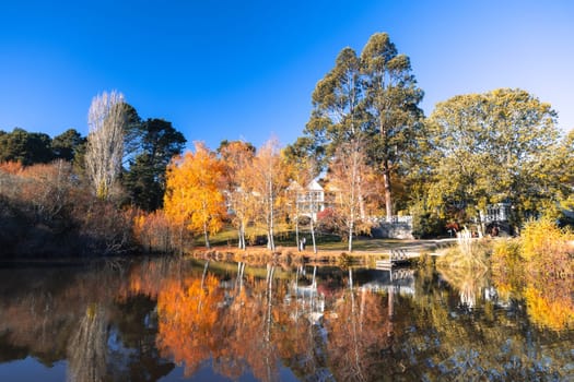 DAYLESFORD, AUSTRALIA - MAY 12 2024: Landscape around Lake Daylesford in a cool late autumn afternoon in Daylesford, Victoria, Australia