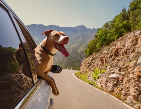 Sunny summer day on an empty mountain road. Happy pitbull dog sticking out of car window. AI generated