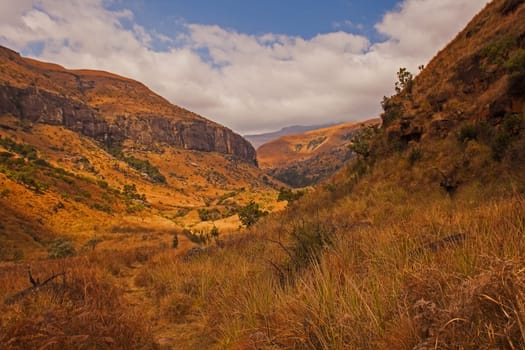 A hiking trail in the Drakensberg Mountains near Cathedral Peak.