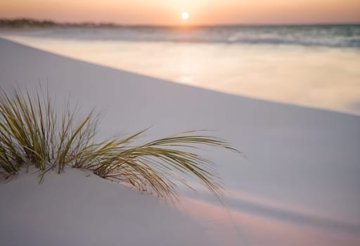 Dune Dreams: Captivating Sunset on the Coastal