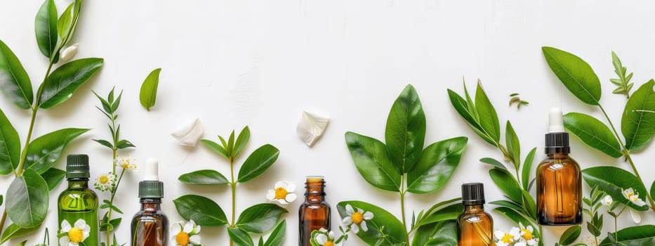 Bottles with essential oils on a background of flowers and leaves. Selective focus. nature.