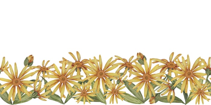 Arnica montana seamless border, ribbon clipart. Watercolor, hand drawn wolfsbane yellow flowers. Floral illustration for packaging, washi tape, labels, gift, beauty, banner, cosmetics, herbal medicine