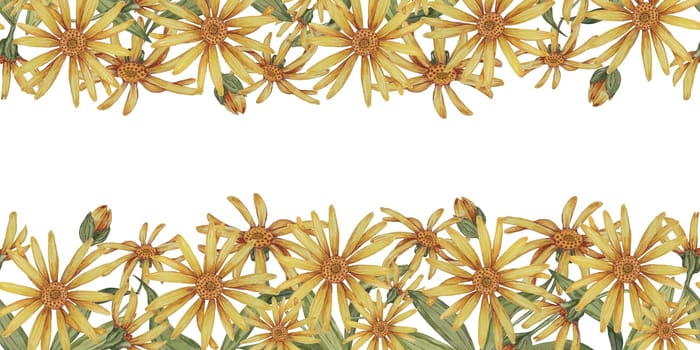Arnica montana seamless border, ribbon clipart. Watercolor, hand drawn wolfsbane yellow flowers. Floral illustration for packaging, washi tape, labels, gift, beauty, banner, cosmetics, herbal medicine