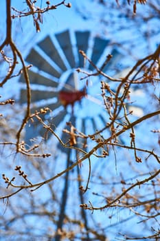 Springtime at Fort Wayne, Indiana: Windmill blurred behind through budding branches against a clear blue sky.