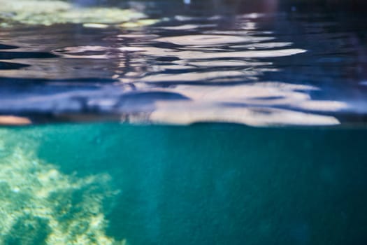 Captivating dual-view image showcasing the serene underwater world and dynamic water surface at Fort Wayne.