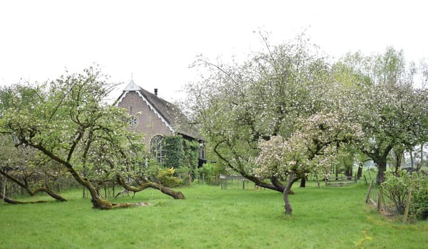 GIETHOORN, NETHERLANDS, April, 27, 2024, Beautiful village much loved by tourists. High quality photo