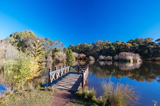 DAYLESFORD, AUSTRALIA - MAY 12 2024: Landscape around Lake Daylesford in a cool late autumn afternoon in Daylesford, Victoria, Australia