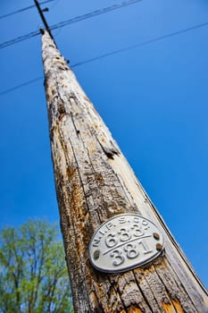 Aged wooden utility pole in Warsaw, Indiana, stands tall against a clear blue sky, symbolizing enduring connectivity.