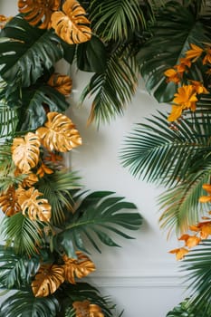 A photo of a wall with a green and gold leafy plant. The plant is hanging from the wall and is surrounded by a white background. The photo has a tropical feel to it