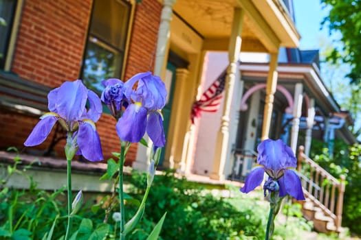 Vibrant purple irises bloom in front of a traditional American home with a flag, symbolizing serene suburban life in Fort Wayne.
