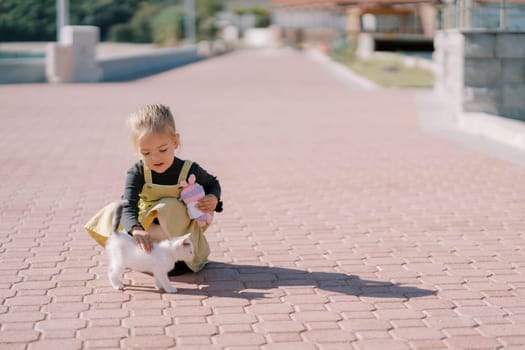 Little girl with a toy in her hand strokes a kitten while squatting on a paved path. High quality photo