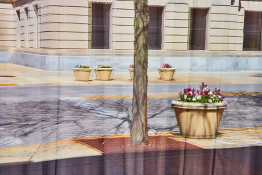 Vibrant urban scene with colorful flower pots and a majestic stone building in downtown Fort Wayne.