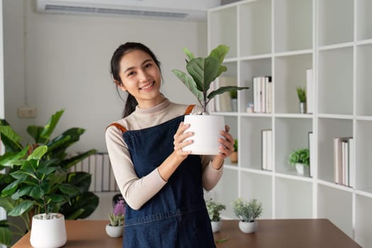 Portrait of a smiling young woman holding potted plant in the house and taking care of the greenery of the house.