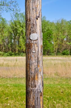 Aging utility pole marked W.P. S.CO 633 381 stands against a backdrop of rural Indiana landscape.