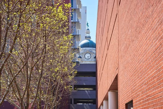 Spring in Fort Wayne: Nature meets architecture with the historic courthouse framed by modern buildings.