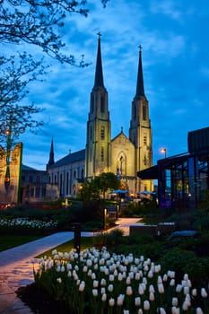 Twilight embraces a historic church with twin spires in Fort Wayne, set against a garden of white tulips.