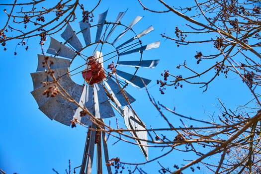 Rural elegance meets innovation: windmill through tree branches under a clear blue sky.