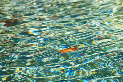 Sunlit water ripples with autumn leaf, evoking tranquility and the beauty of nature's textures.