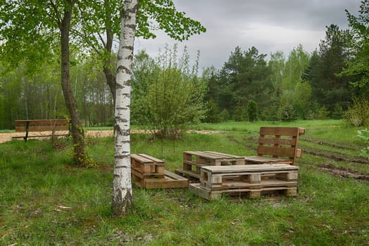 Outdoor furniture made from wood pallets surrounded by birch trees and greenery in summer sunshine
