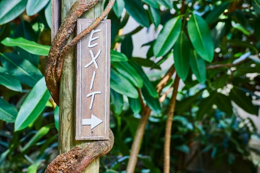 Weathered exit sign entwined by vines in Fort Wayne Children's Zoo, symbolizing nature's embrace.