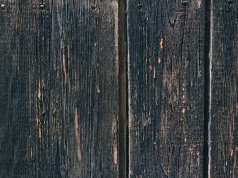 wooden old boards. The texture of the wood