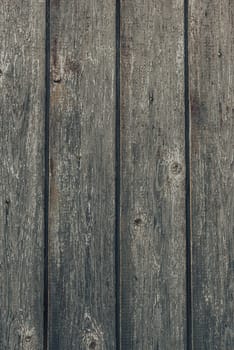 wooden old boards. The texture of the wood