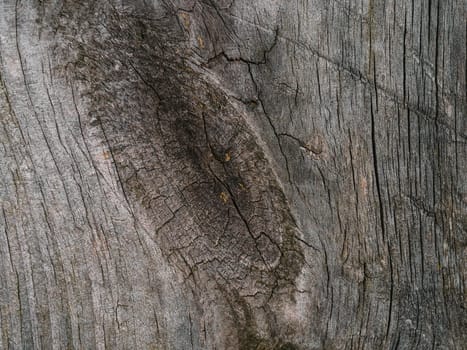 texture of natural wooden Board close-up