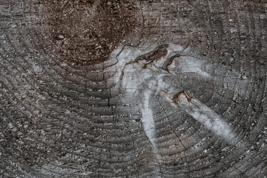 texture of a natural wooden Board close-up