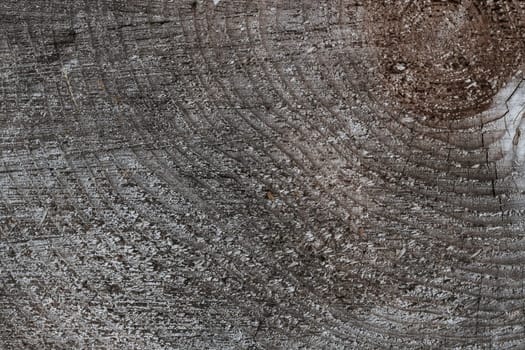 texture of a natural wooden Board close-up