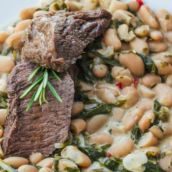 beef stew in sauce with beans and rosemary close-up